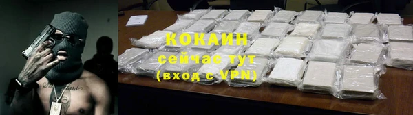 ГАЛЛЮЦИНОГЕННЫЕ ГРИБЫ Аркадак