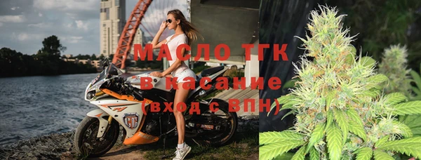 ГАЛЛЮЦИНОГЕННЫЕ ГРИБЫ Аркадак