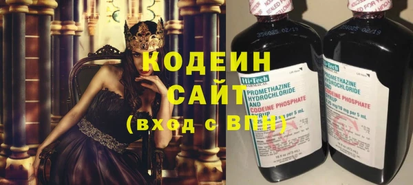 ГАЛЛЮЦИНОГЕННЫЕ ГРИБЫ Аркадак
