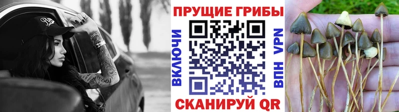 Галлюциногенные грибы прущие грибы  цены наркотик  Усолье 